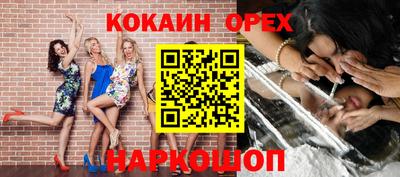 Альфа ПВП Гатчина
