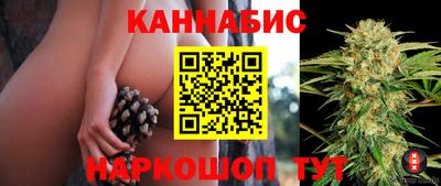 Альфа ПВП Гатчина