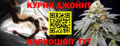 Альфа ПВП Гатчина