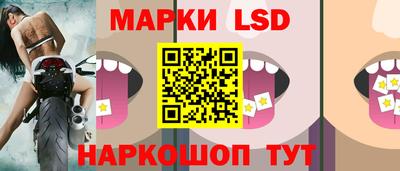 Альфа ПВП Гатчина