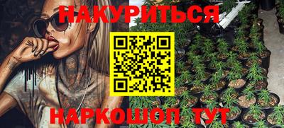 Альфа ПВП Гатчина