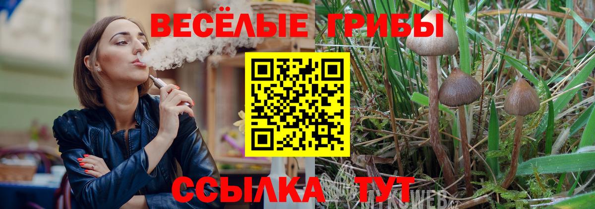 Галлюциногенные грибы мицелий Нижнекамск