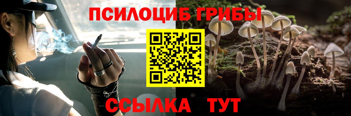 Нижнекамск  Псилоцибиновые грибы мухоморы  сколько стоит  Вход с VPN  Галлюциногенные грибы мицелий 